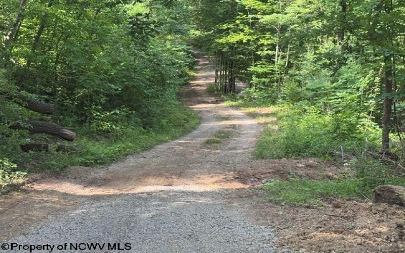 TBD Locust Grove Road, Kasson, West Virginia 26405, 0 , 0 ,0,Lots/land,For Sale,Locust Grove,0,10165714