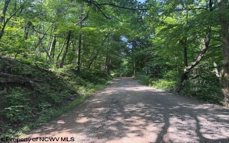 TBD Locust Grove Road, Kasson, West Virginia 26405, 0 , 0 ,0,Lots/land,For Sale,Locust Grove,0,10165714