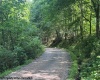 TBD Locust Grove Road, Kasson, West Virginia 26405, 0 , 0 ,0,Lots/land,For Sale,Locust Grove,0,10165714