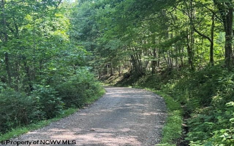 TBD Locust Grove Road, Kasson, West Virginia 26405, 0 , 0 ,0,Lots/land,For Sale,Locust Grove,0,10165714