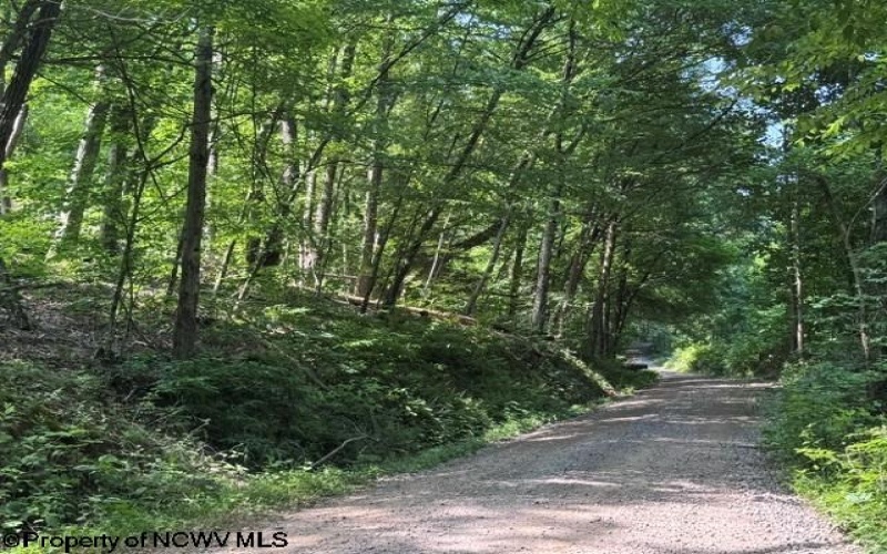 TBD Locust Grove Road, Kasson, West Virginia 26405, 0 , 0 ,0,Lots/land,For Sale,Locust Grove,0,10165714