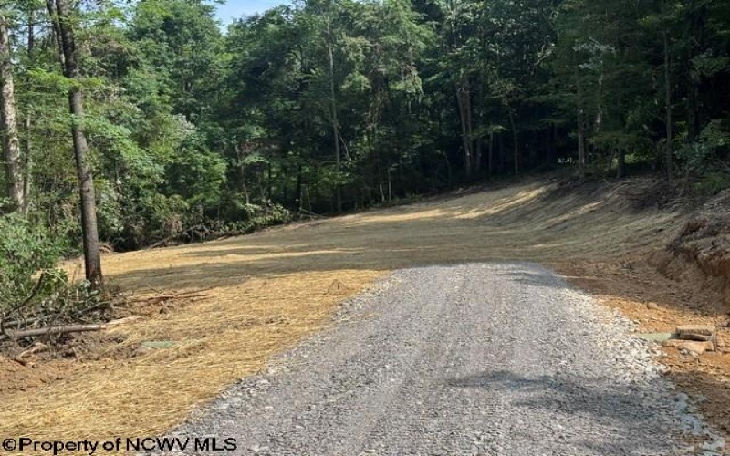 TBD Locust Grove Road, Kasson, West Virginia 26405, 0 , 0 ,0,Lots/land,For Sale,Locust Grove,0,10165714