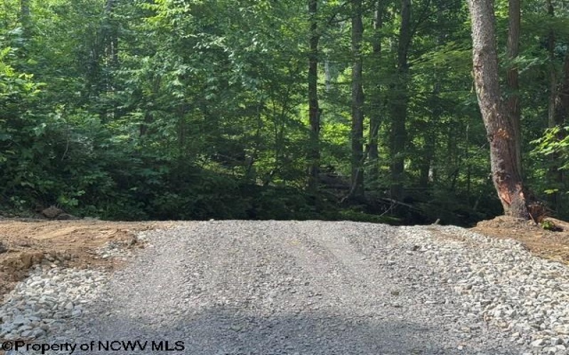 TBD Locust Grove Road, Kasson, West Virginia 26405, 0 , 0 ,0,Lots/land,For Sale,Locust Grove,0,10165714