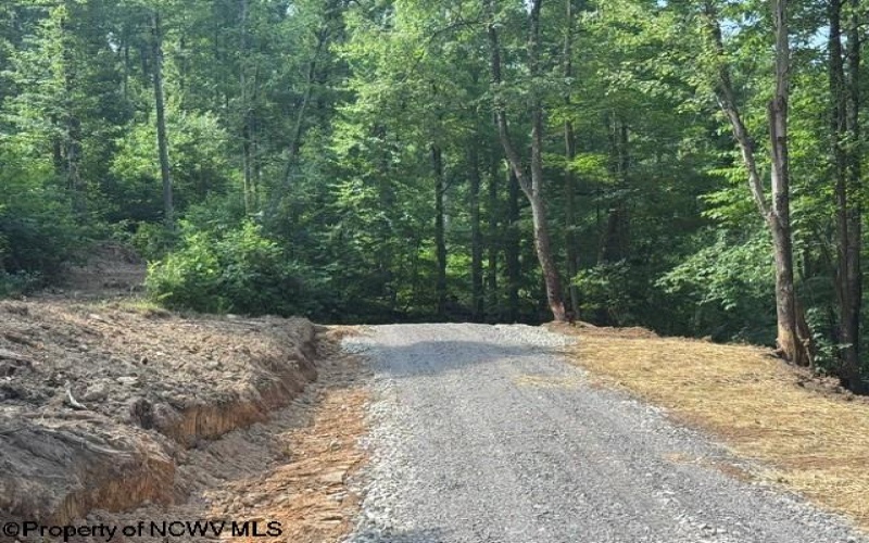 TBD Locust Grove Road, Kasson, West Virginia 26405, 0 , 0 ,0,Lots/land,For Sale,Locust Grove,0,10165714