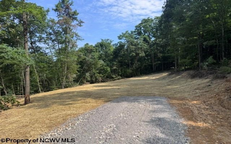 TBD Locust Grove Road, Kasson, West Virginia 26405, 0 , 0 ,0,Lots/land,For Sale,Locust Grove,0,10165714