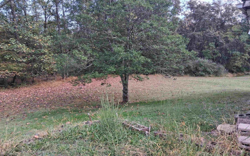 2700 Calhoun Highway, Grantsville, West Virginia 26147, 3 Bedrooms Bedrooms, 7 Rooms Rooms,1 BathroomBathrooms,Single Family Detached,For Sale,Calhoun,0,10161900