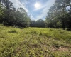 TBD Knights Fork Road, West Union, West Virginia 26456, 0 , 0 ,0,Lots/land,For Sale,Knights Fork,0,10165749