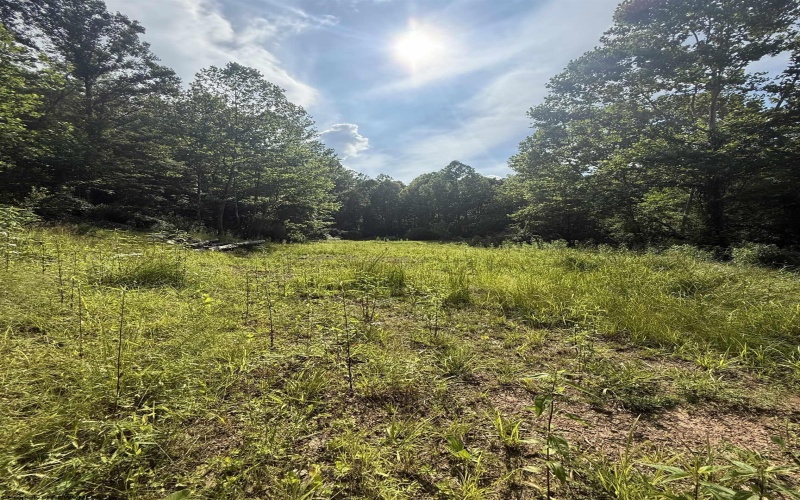 TBD Knights Fork Road, West Union, West Virginia 26456, 0 , 0 ,0,Lots/land,For Sale,Knights Fork,0,10165749