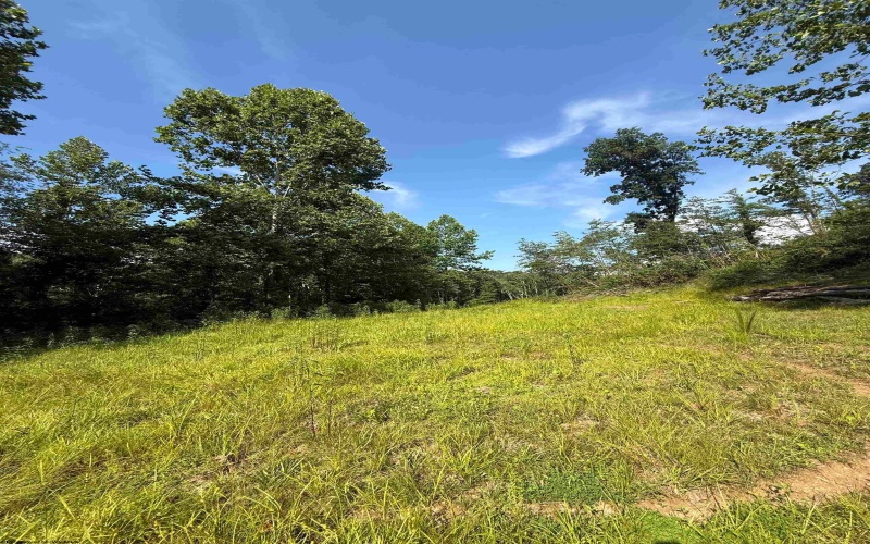 TBD Knights Fork Road, West Union, West Virginia 26456, 0 , 0 ,0,Lots/land,For Sale,Knights Fork,0,10165749