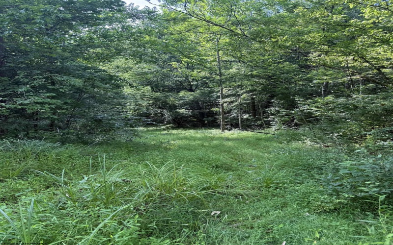 TBD Knights Fork Road, West Union, West Virginia 26456, 0 , 0 ,0,Lots/land,For Sale,Knights Fork,0,10165749