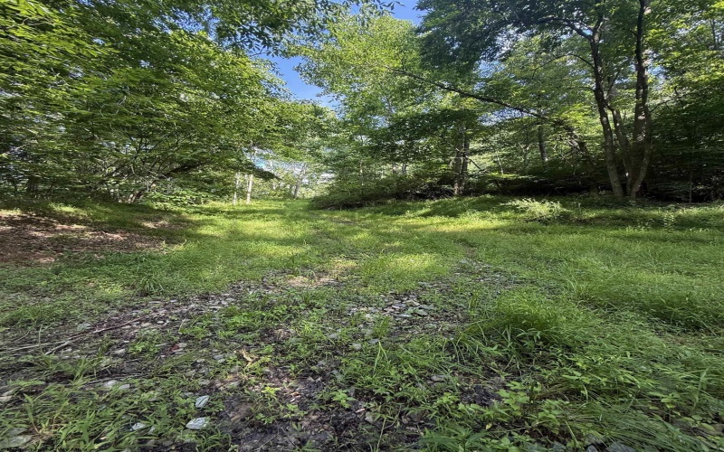TBD Knights Fork Road, West Union, West Virginia 26456, 0 , 0 ,0,Lots/land,For Sale,Knights Fork,0,10165749