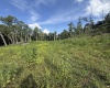 TBD Knights Fork Road, West Union, West Virginia 26456, 0 , 0 ,0,Lots/land,For Sale,Knights Fork,0,10165749