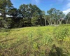 TBD Knights Fork Road, West Union, West Virginia 26456, 0 , 0 ,0,Lots/land,For Sale,Knights Fork,0,10165749