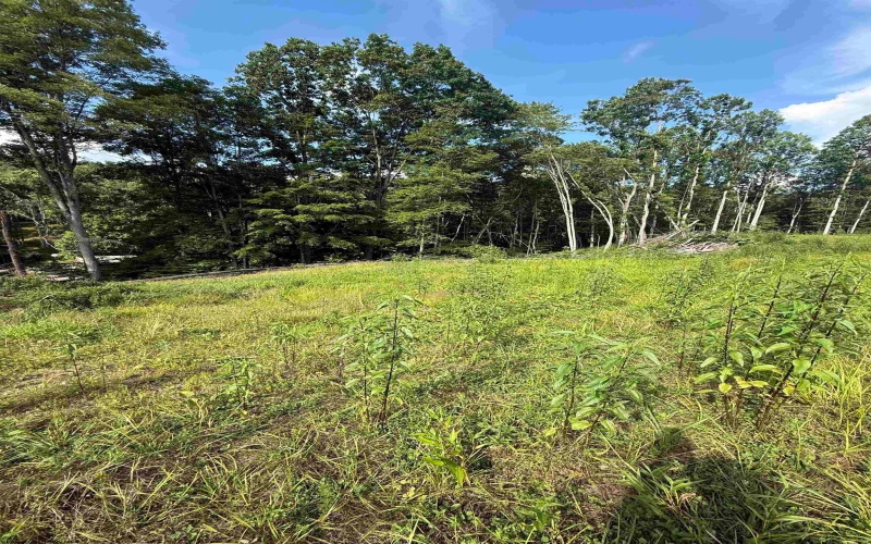 TBD Knights Fork Road, West Union, West Virginia 26456, 0 , 0 ,0,Lots/land,For Sale,Knights Fork,0,10165749