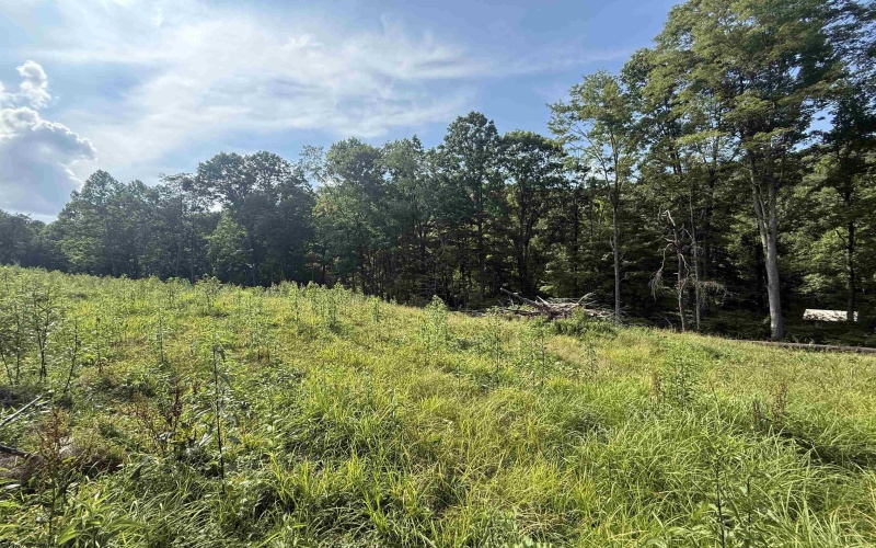 TBD Knights Fork Road, West Union, West Virginia 26456, 0 , 0 ,0,Lots/land,For Sale,Knights Fork,0,10165749
