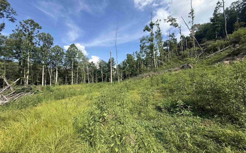 TBD Knights Fork Road, West Union, West Virginia 26456, 0 , 0 ,0,Lots/land,For Sale,Knights Fork,0,10165749