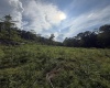 TBD Knights Fork Road, West Union, West Virginia 26456, 0 , 0 ,0,Lots/land,For Sale,Knights Fork,0,10165749