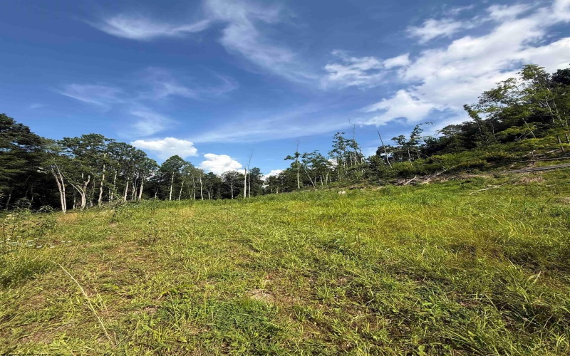 TBD Knights Fork Road, West Union, West Virginia 26456, 0 , 0 ,0,Lots/land,For Sale,Knights Fork,0,10165749