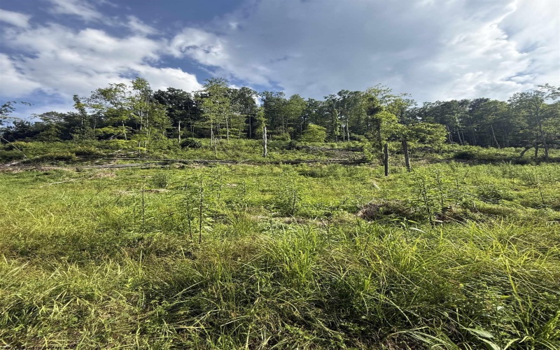 TBD Knights Fork Road, West Union, West Virginia 26456, 0 , 0 ,0,Lots/land,For Sale,Knights Fork,0,10165749