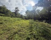 TBD Knights Fork Road, West Union, West Virginia 26456, 0 , 0 ,0,Lots/land,For Sale,Knights Fork,0,10165749
