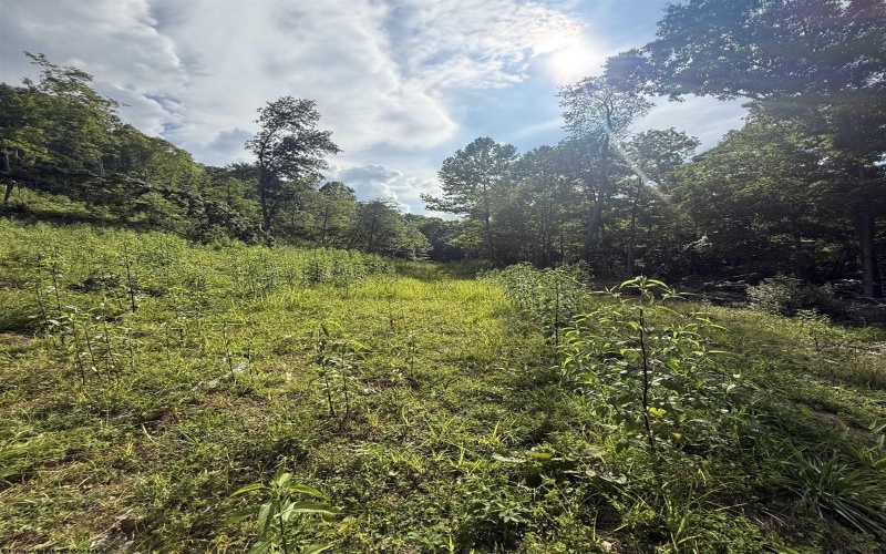 TBD Knights Fork Road, West Union, West Virginia 26456, 0 , 0 ,0,Lots/land,For Sale,Knights Fork,0,10165749