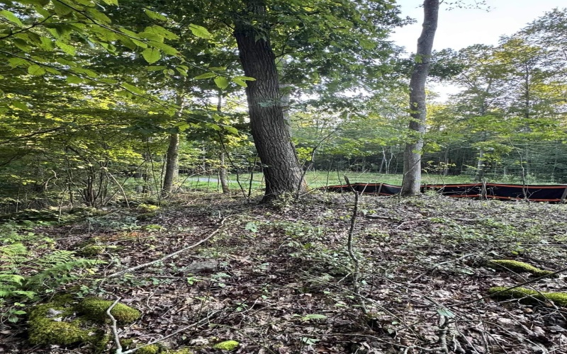 Lot 144 Spring Trail, Bruceton Mills, West Virginia 26525, 0 , 0 ,0,Lots/land,For Sale,Spring,0,10160857