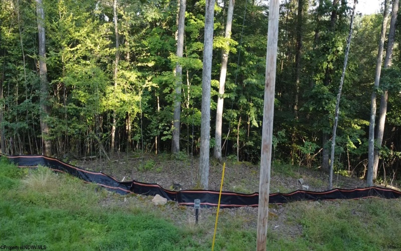 Lot 144 Spring Trail, Bruceton Mills, West Virginia 26525, 0 , 0 ,0,Lots/land,For Sale,Spring,0,10160857