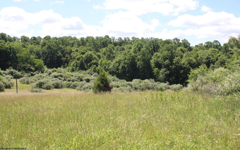Lot 6 Gladesville Road, Independence, West Virginia 26374, 0 , 0 ,0,Lots/land,For Sale,Gladesville,0,10165740 Lot 6 Gladesville Road, Independence, West Virginia 26374, 0 , 0 ,0,Lots/land,For Sale,Gladesville,0,10165740