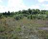 Lot 6 Gladesville Road, Independence, West Virginia 26374, 0 , 0 ,0,Lots/land,For Sale,Gladesville,0,10165740 Lot 6 Gladesville Road, Independence, West Virginia 26374, 0 , 0 ,0,Lots/land,For Sale,Gladesville,0,10165740