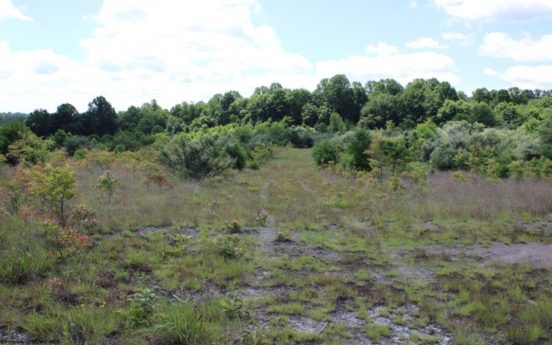 Lot 6 Gladesville Road, Independence, West Virginia 26374, 0 , 0 ,0,Lots/land,For Sale,Gladesville,0,10165740 Lot 6 Gladesville Road, Independence, West Virginia 26374, 0 , 0 ,0,Lots/land,For Sale,Gladesville,0,10165740