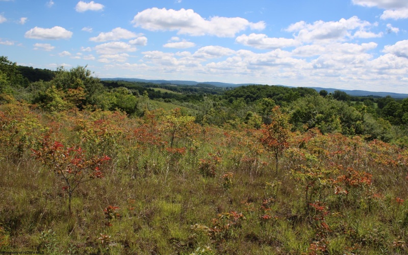 Lot 6 Gladesville Road, Independence, West Virginia 26374, 0 , 0 ,0,Lots/land,For Sale,Gladesville,0,10165740 Lot 6 Gladesville Road, Independence, West Virginia 26374, 0 , 0 ,0,Lots/land,For Sale,Gladesville,0,10165740