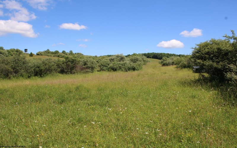 Lot 6 Gladesville Road, Independence, West Virginia 26374, 0 , 0 ,0,Lots/land,For Sale,Gladesville,0,10165740 Lot 6 Gladesville Road, Independence, West Virginia 26374, 0 , 0 ,0,Lots/land,For Sale,Gladesville,0,10165740