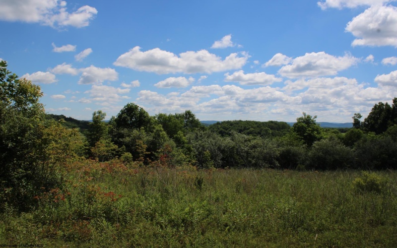 Lot 6 Gladesville Road, Independence, West Virginia 26374, 0 , 0 ,0,Lots/land,For Sale,Gladesville,0,10165740 Lot 6 Gladesville Road, Independence, West Virginia 26374, 0 , 0 ,0,Lots/land,For Sale,Gladesville,0,10165740