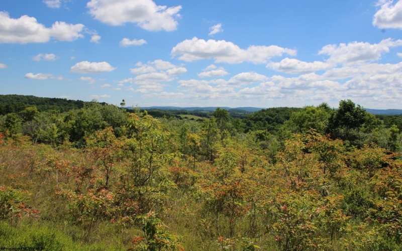 Lot 6 Gladesville Road, Independence, West Virginia 26374, 0 , 0 ,0,Lots/land,For Sale,Gladesville,0,10165740 Lot 6 Gladesville Road, Independence, West Virginia 26374, 0 , 0 ,0,Lots/land,For Sale,Gladesville,0,10165740