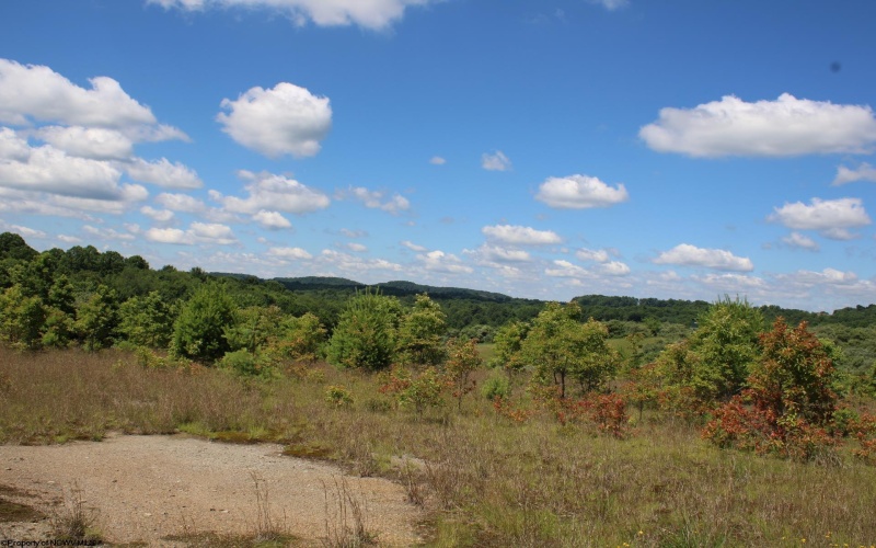 Lot 6 Gladesville Road, Independence, West Virginia 26374, 0 , 0 ,0,Lots/land,For Sale,Gladesville,0,10165740 Lot 6 Gladesville Road, Independence, West Virginia 26374, 0 , 0 ,0,Lots/land,For Sale,Gladesville,0,10165740