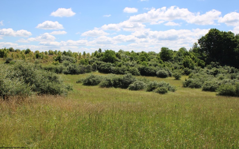 Lot 6 Gladesville Road, Independence, West Virginia 26374, 0 , 0 ,0,Lots/land,For Sale,Gladesville,0,10165740 Lot 6 Gladesville Road, Independence, West Virginia 26374, 0 , 0 ,0,Lots/land,For Sale,Gladesville,0,10165740