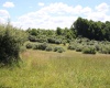 Lot 6 Gladesville Road, Independence, West Virginia 26374, 0 , 0 ,0,Lots/land,For Sale,Gladesville,0,10165740 Lot 6 Gladesville Road, Independence, West Virginia 26374, 0 , 0 ,0,Lots/land,For Sale,Gladesville,0,10165740