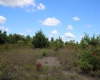 Lot 6 Gladesville Road, Independence, West Virginia 26374, 0 , 0 ,0,Lots/land,For Sale,Gladesville,0,10165740 Lot 6 Gladesville Road, Independence, West Virginia 26374, 0 , 0 ,0,Lots/land,For Sale,Gladesville,0,10165740