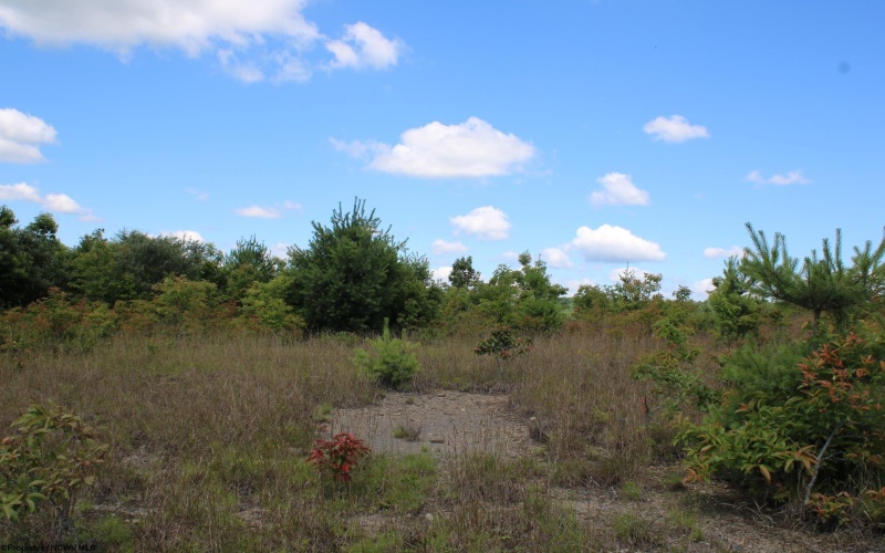 Lot 6 Gladesville Road, Independence, West Virginia 26374, 0 , 0 ,0,Lots/land,For Sale,Gladesville,0,10165740 Lot 6 Gladesville Road, Independence, West Virginia 26374, 0 , 0 ,0,Lots/land,For Sale,Gladesville,0,10165740