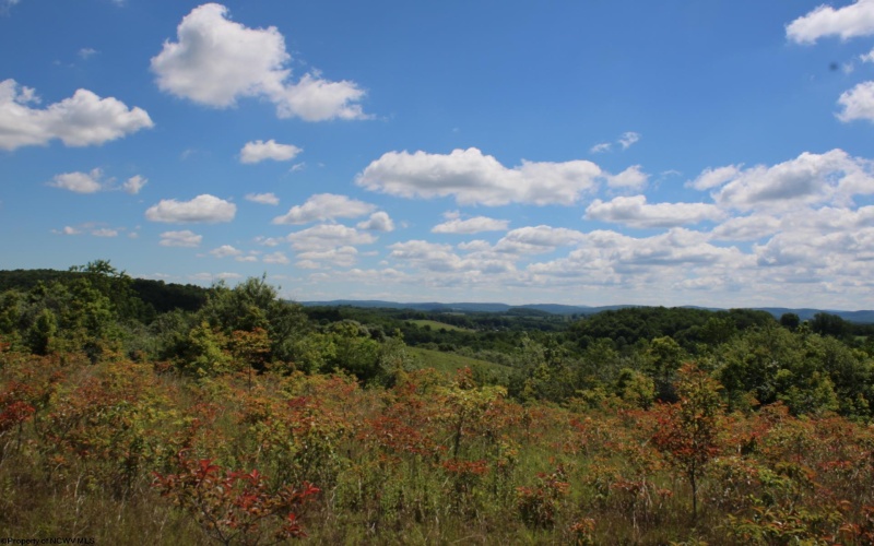 Lot 6 Gladesville Road, Independence, West Virginia 26374, 0 , 0 ,0,Lots/land,For Sale,Gladesville,0,10165740 Lot 6 Gladesville Road, Independence, West Virginia 26374, 0 , 0 ,0,Lots/land,For Sale,Gladesville,0,10165740