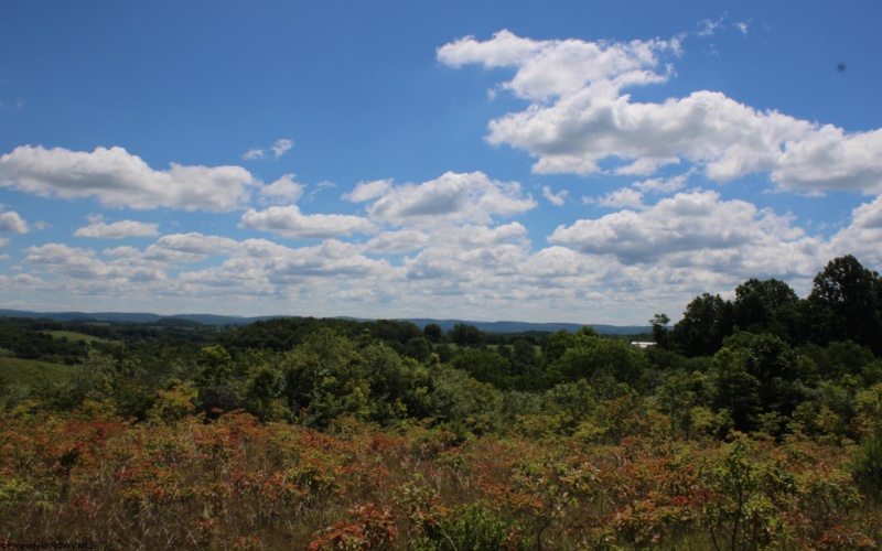 Lot 6 Gladesville Road, Independence, West Virginia 26374, 0 , 0 ,0,Lots/land,For Sale,Gladesville,0,10165740 Lot 6 Gladesville Road, Independence, West Virginia 26374, 0 , 0 ,0,Lots/land,For Sale,Gladesville,0,10165740