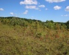 Lot 6 Gladesville Road, Independence, West Virginia 26374, 0 , 0 ,0,Lots/land,For Sale,Gladesville,0,10165740 Lot 6 Gladesville Road, Independence, West Virginia 26374, 0 , 0 ,0,Lots/land,For Sale,Gladesville,0,10165740