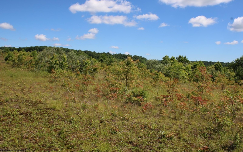 Lot 6 Gladesville Road, Independence, West Virginia 26374, 0 , 0 ,0,Lots/land,For Sale,Gladesville,0,10165740 Lot 6 Gladesville Road, Independence, West Virginia 26374, 0 , 0 ,0,Lots/land,For Sale,Gladesville,0,10165740