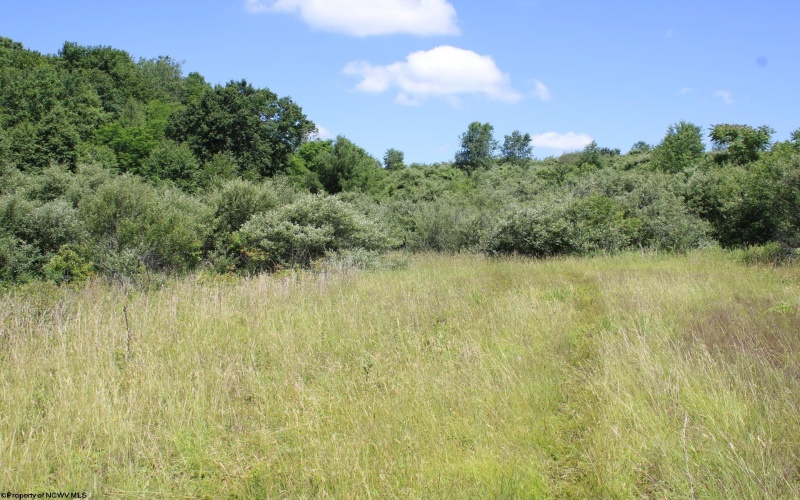 Lot 6 Gladesville Road, Independence, West Virginia 26374, 0 , 0 ,0,Lots/land,For Sale,Gladesville,0,10165740 Lot 6 Gladesville Road, Independence, West Virginia 26374, 0 , 0 ,0,Lots/land,For Sale,Gladesville,0,10165740