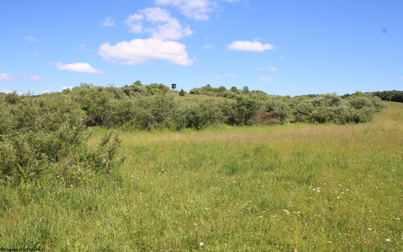 Lot 6 Gladesville Road, Independence, West Virginia 26374, 0 , 0 ,0,Lots/land,For Sale,Gladesville,0,10165740 Lot 6 Gladesville Road, Independence, West Virginia 26374, 0 , 0 ,0,Lots/land,For Sale,Gladesville,0,10165740