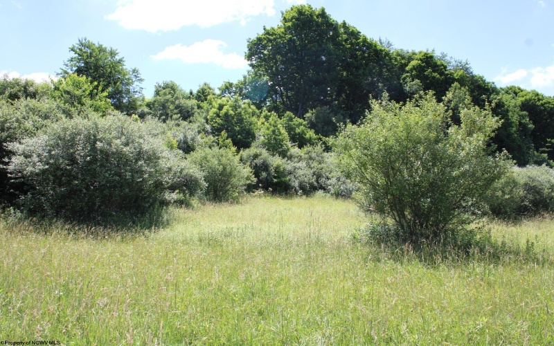 Lot 6 Gladesville Road, Independence, West Virginia 26374, 0 , 0 ,0,Lots/land,For Sale,Gladesville,0,10165740 Lot 6 Gladesville Road, Independence, West Virginia 26374, 0 , 0 ,0,Lots/land,For Sale,Gladesville,0,10165740