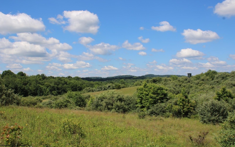 Lot 6 Gladesville Road, Independence, West Virginia 26374, 0 , 0 ,0,Lots/land,For Sale,Gladesville,0,10165740 Lot 6 Gladesville Road, Independence, West Virginia 26374, 0 , 0 ,0,Lots/land,For Sale,Gladesville,0,10165740