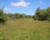 Lot 6 Gladesville Road, Independence, West Virginia 26374, 0 , 0 ,0,Lots/land,For Sale,Gladesville,0,10165740 Lot 6 Gladesville Road, Independence, West Virginia 26374, 0 , 0 ,0,Lots/land,For Sale,Gladesville,0,10165740