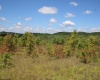 Lot 6 Gladesville Road, Independence, West Virginia 26374, 0 , 0 ,0,Lots/land,For Sale,Gladesville,0,10165740 Lot 6 Gladesville Road, Independence, West Virginia 26374, 0 , 0 ,0,Lots/land,For Sale,Gladesville,0,10165740