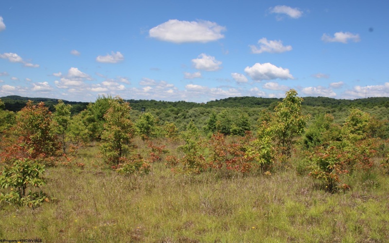 Lot 6 Gladesville Road, Independence, West Virginia 26374, 0 , 0 ,0,Lots/land,For Sale,Gladesville,0,10165740 Lot 6 Gladesville Road, Independence, West Virginia 26374, 0 , 0 ,0,Lots/land,For Sale,Gladesville,0,10165740